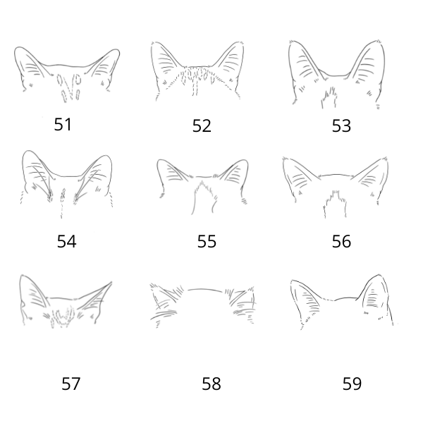 Necklace: Pet Silhouette