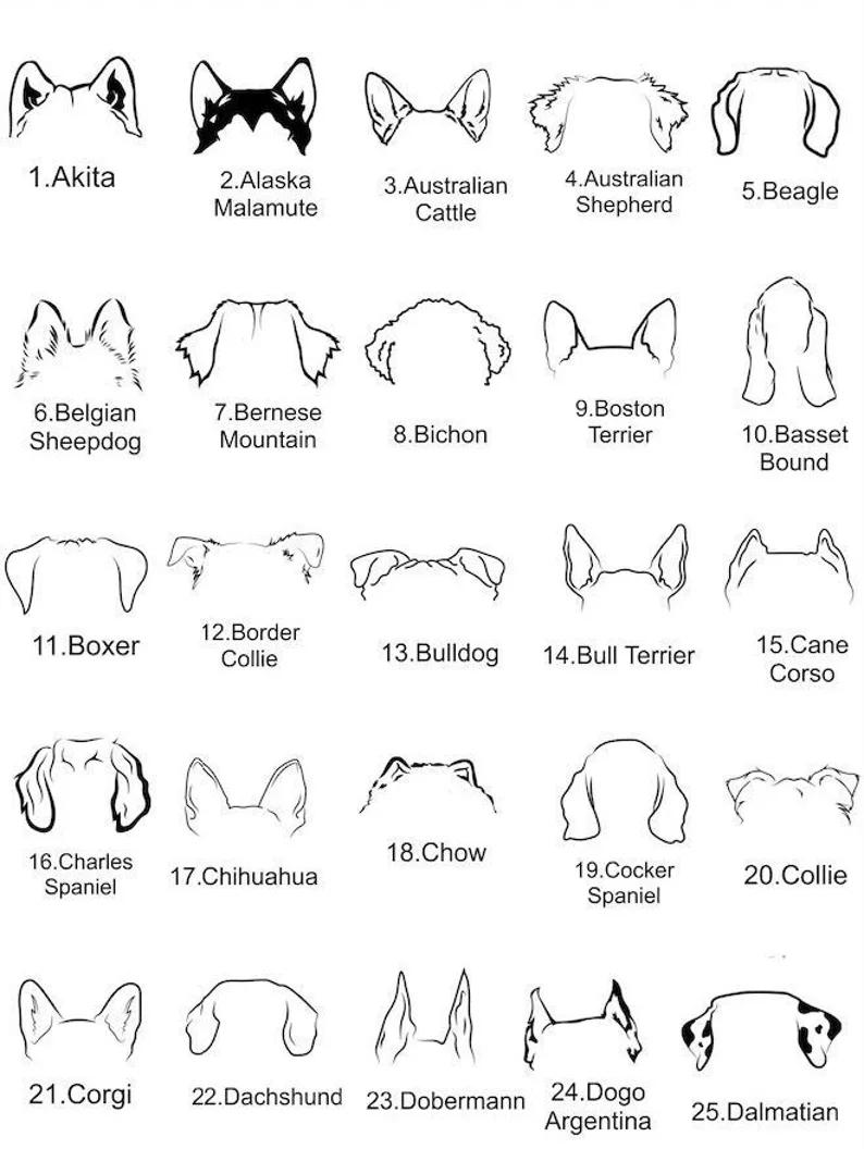 Necklace: Pet Silhouette