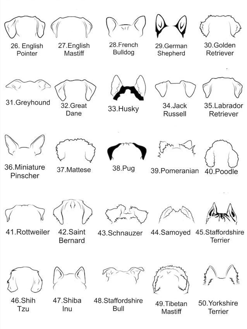 Necklace: Pet Silhouette