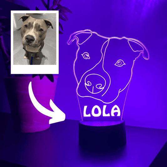 LED Lampa: Pet Portrait